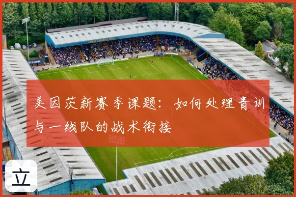 美因茨新赛季课题:如何处理青训与一线队的战术衔接
